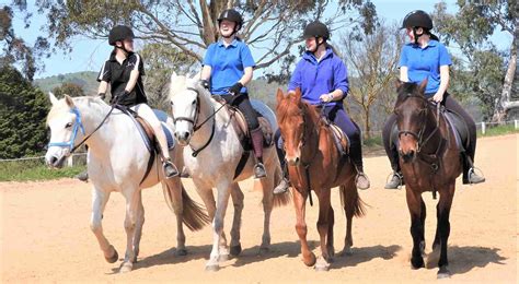 templewood horse riding club.